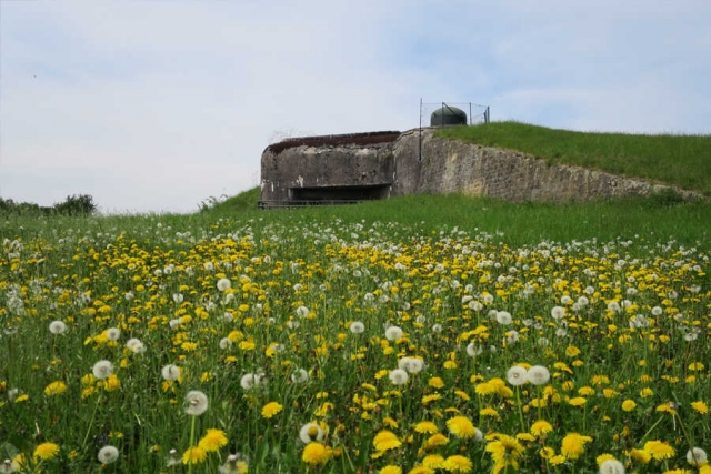 Frankreich - Geschichtsreise zur Maginot-Linie