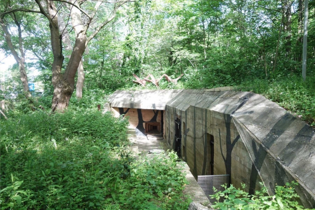 Niederlande - Geschichtsreise Festung Holland