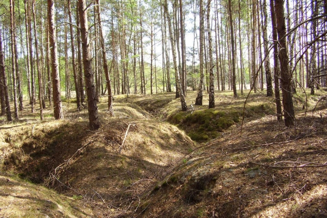 Polen - Geschichtsreise Festungsfront Oder-Warthe-Bogen intensiv