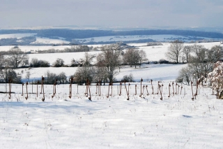 Frankreich - militärhistorische Winter-Fotoreise