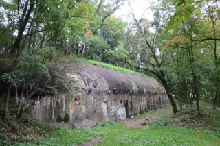 Polen - Reise auf den Spuren der Geschichte durch Niederschlesien